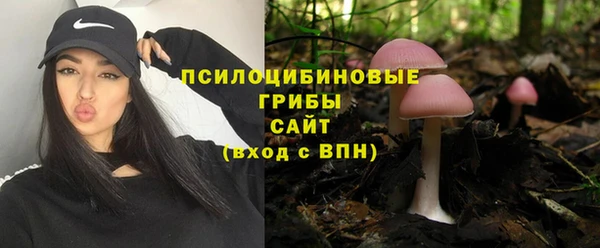 дживик Магас