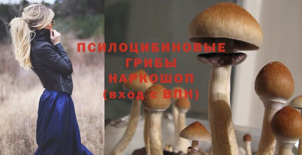 спайс Абаза