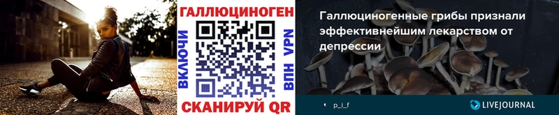 Галлюциногенные грибы Magic Shrooms  Приволжск 